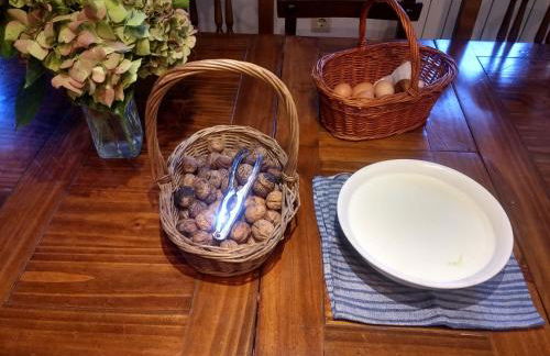 Alberroakoborda - Foto 23