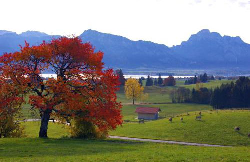 Haus Bergblick - Foto 35