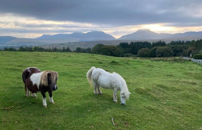 Brenin 3 Bedroom rural wood Lodge - Foto 19