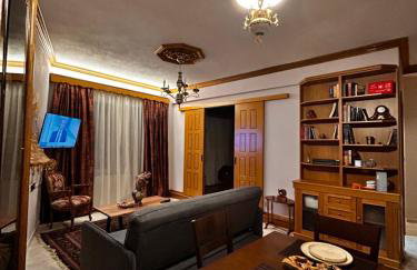 MetsoVillas στο κέντρο του Μετσόβου - Photo 7