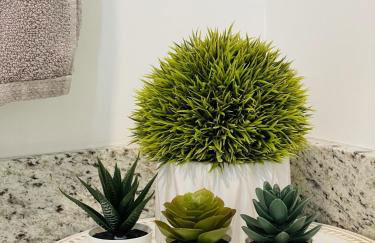 Gardner Lake 2 Queen/1King/2 Bath/Laundry- Private - Foto 5