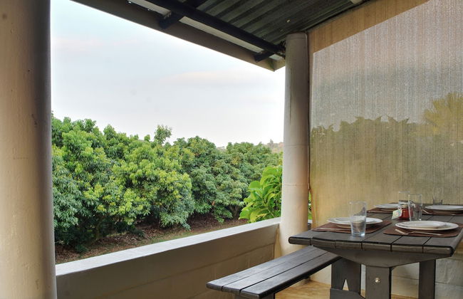 Oppi Plaas Abek - Foto 17