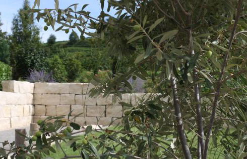 Weingut Landerer - Foto 9