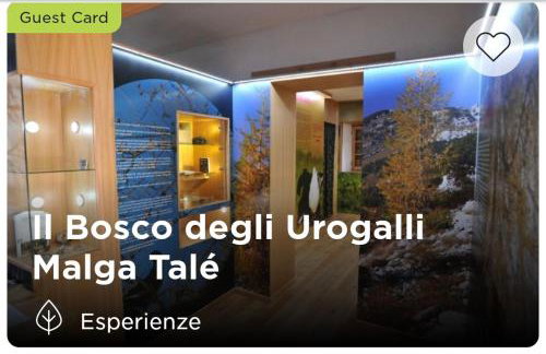 Chalet Migazzi - Foto 33