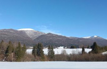 Smerekowa Ostoja - Photo 20