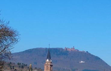 Gîte Le Marronnier, parking et terrasse au calme, entre Colmar-Riquewihr et Obernai, vue sur espaces verts et coteaux d Alsace, route du vin-châteaux - Foto 67