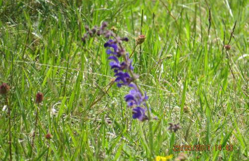 Ferienwohnung Rhönbergblick - Foto 39