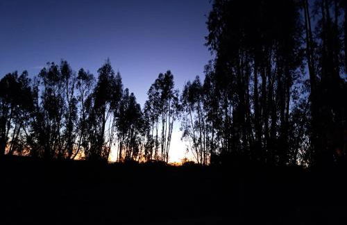 Monte da Calcadinha - Foto 15