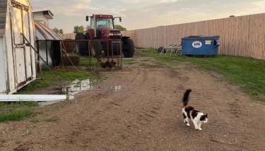 Yahweh Horse Retreat - Photo 5