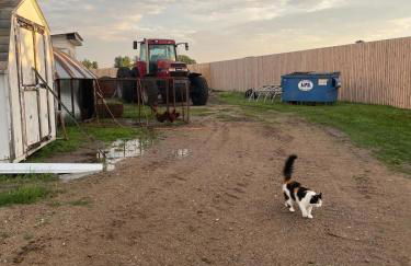 Yahweh Horse Retreat - Photo 5