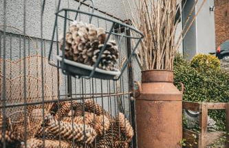 O bois dormant - Foto 23