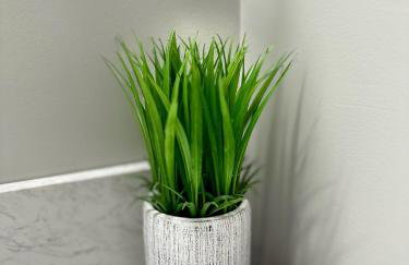 The Allen House - 3 Bedroom - 2 Full Bath - Private Gorgeous Apartment - Sleeps 8 - Foto 28