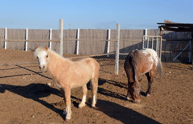 Bio et Bois - Foto 77