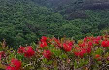 Apartamentos Rurales El Bosque de las Viñas - Photo 8