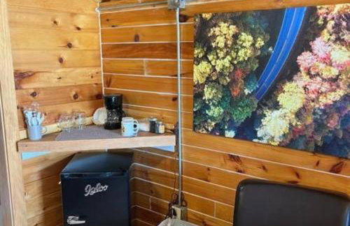 Bear Lane Cabin, Pets OK, Close to Skyway - Foto 4