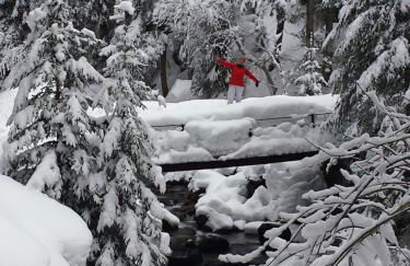 Vintage chic -central, wifi, mountain view-BelleVue3 - Photo 43