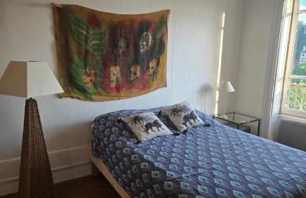 Cocon au pied de la Croix Rousse - Foto 8