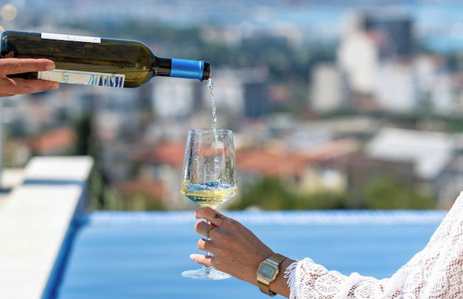 Uphill Glavanovic Pool Villa - Foto 22