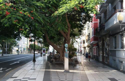 Stylish Studio near Old Town - Foto 15