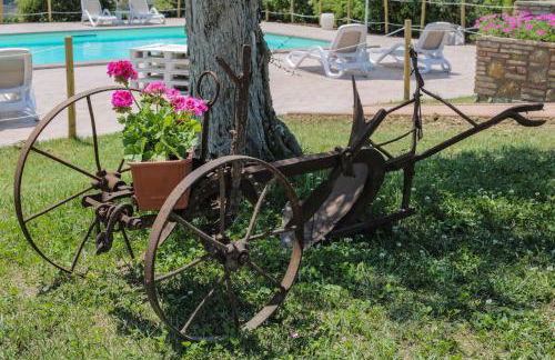 Agriturismo Il Divin Casale - Foto 29