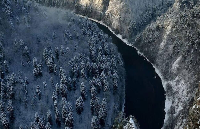 Jaworki Green Dream - Foto 53