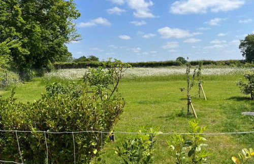 The Retreat Field View - Foto 15