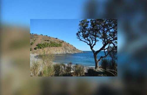 Vue mer, crique de Peyrefite, Cerbère-Banyuls. - Foto 70
