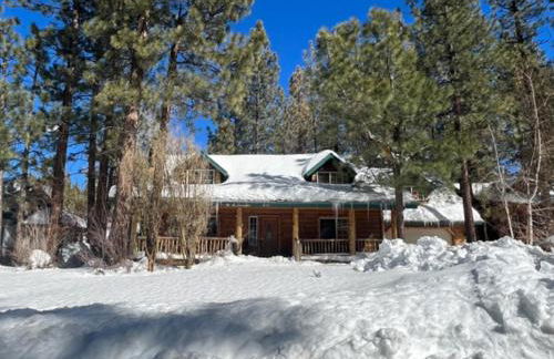 Abe's Cool Cabin - Nice luxury home with a game room, hot tub, and pool table - Foto 58