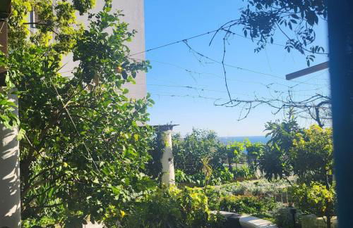 Apartment Bonbon - Posillipo Napoli - Photo 19