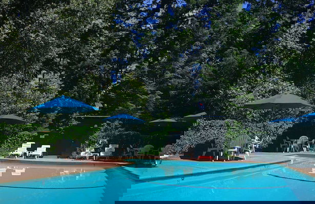 Redwoods River Resort - Foto 46