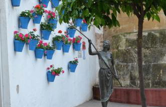 4 Dormitorios -El Rinconcito de Córdoba -Centro - Photo 54