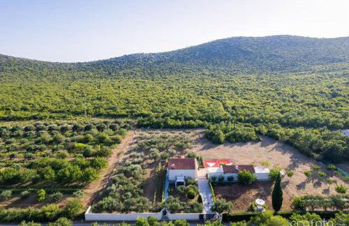 Grandfather's House - Photo 57