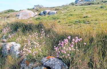 Maison avec vue mer à Saint-Pol-de-Léon - Foto 8
