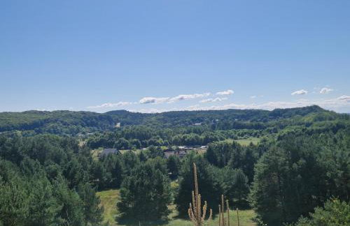Dom wakacyjny Kubuś Wicko Ferienwohnung Misdroy Insel Ostsee - Foto 58