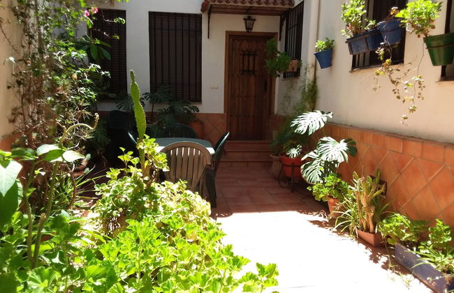 Casa Tipica Cordobesa en la Juderia - Photo 20