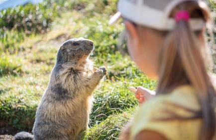 MGM Hôtels & Résidences - Résidence Alexane - Foto 64