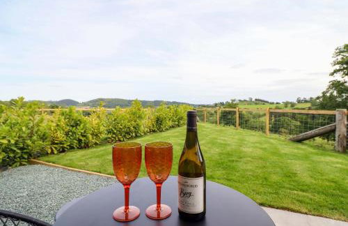 Charollais - Foto 13