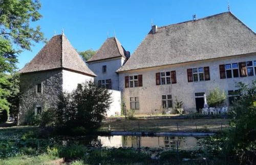 Château de Rivoiranche - Photo 2