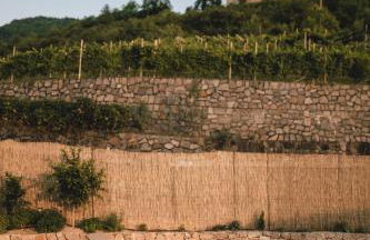 Pitzner - Winery & Suites - Foto 4