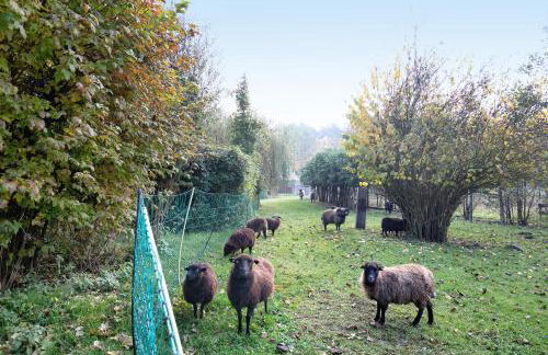 Ferienwohnung Müncheberg 1 - Photo 29