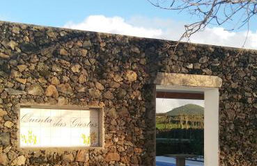 Quinta das Giestas - Photo 35