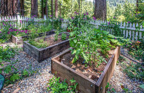 Sunrise Mountain Retreat - Foto 25