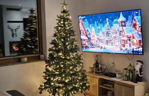 Malowany Las - Foto 7