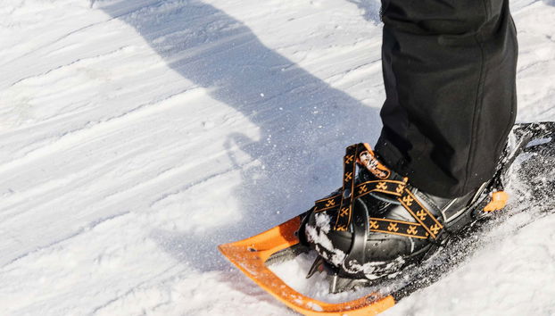 Seward Snowshoeing Tour