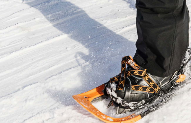 Seward Snowshoeing Tour - Photo 5