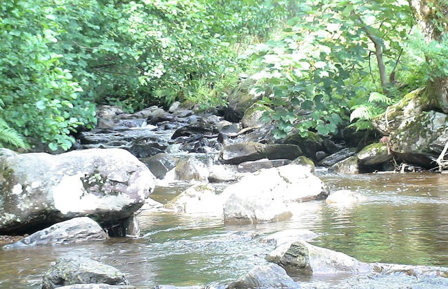 Country Retreats at Butterstone - Photo 11