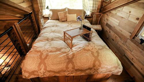 Luxury Cabin for Two with Beautiful River Views near Knoxville - Foto 4