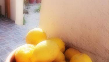 Lemon Tree House - Foto 5