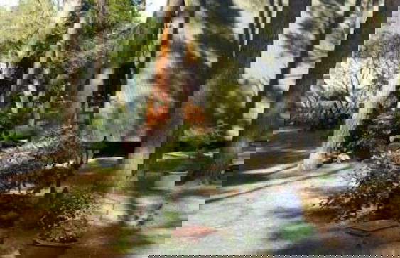 Nepumuk-Ranch - Foto 5