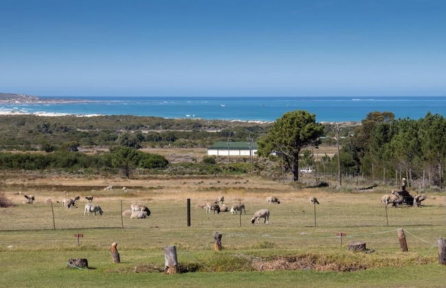 Groeneweide - Foto 58